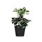 Mini Fake Plants Set of 2 Small Faux Plant for Home Table Office Room Desk Bathroom Shelf Kitchen Farmhouse Mantel Decoration
